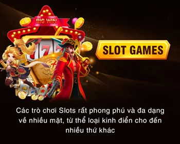 Cấp độ VIP Bạch Kim của 3uin
